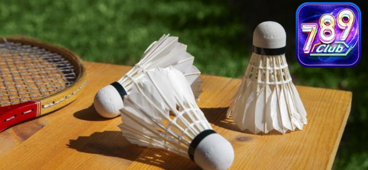 Cá Cược Cầu Lông 789club - Chơi Với Chiến Thuật Thông Minh 12 ca cuoc cau long 789club